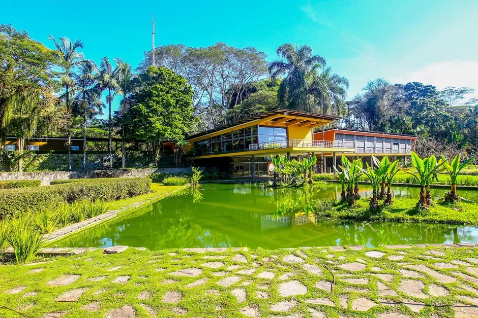 Parque da Cidade