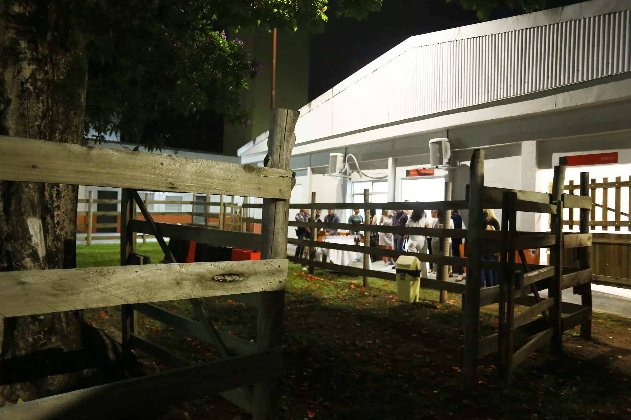 Clínica-escola vai atender pets a preços populares em São José dos Campos (Foto: Adenir Britto/PMSJC)