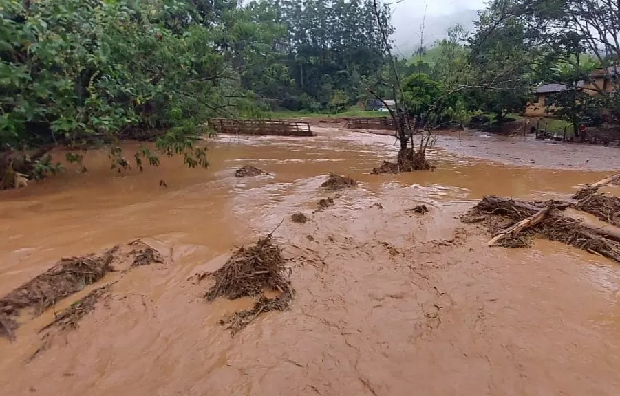 alagamento em área de mata em monteiro lobato