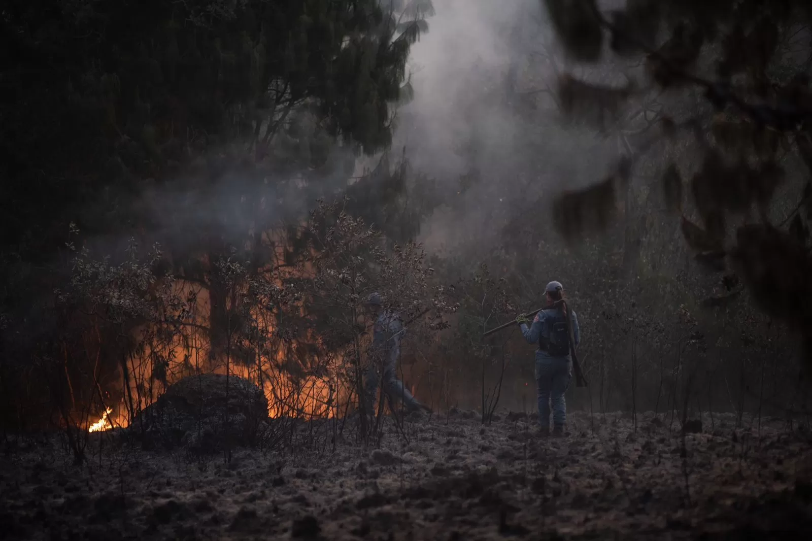 Incêndios também atingem zona norte de São José dos Campos