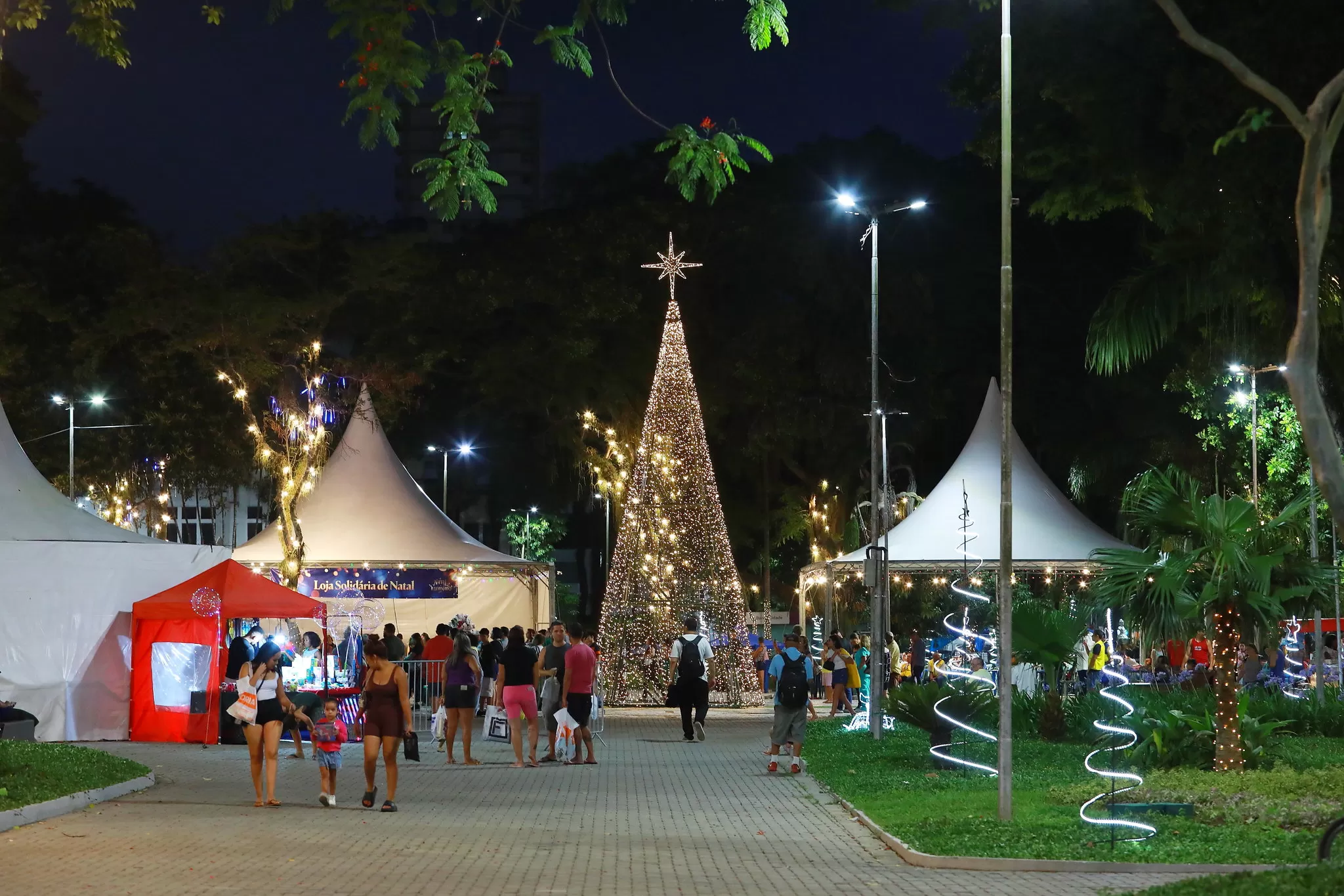 Decoração de natal em sjc