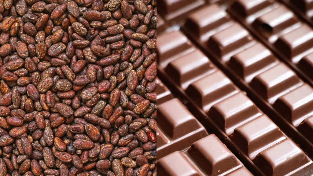 Do cacau ao chocolate: a indústria por trás do doce mais consumido no mundo