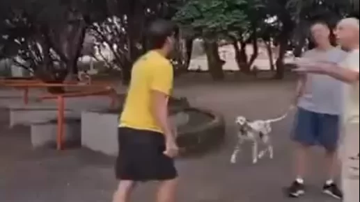 Vídeo mostra agressor da maritaca Lorinho furioso discutindo com moradores