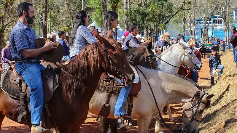 16ª Festa do Tropeiro em São Francisco Xavier celebra cultura tradicional
