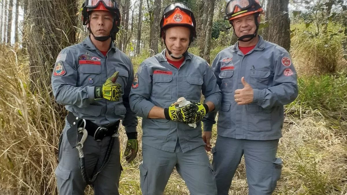 A ave foi resgatada a 20 metros de altura em uma árvore dentro do Mosteiro Sagrada Face.